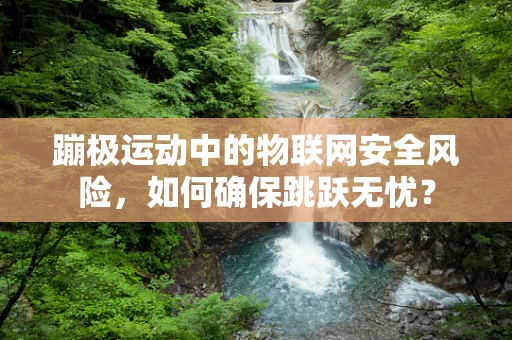 蹦极运动中的物联网安全风险，如何确保跳跃无忧？
