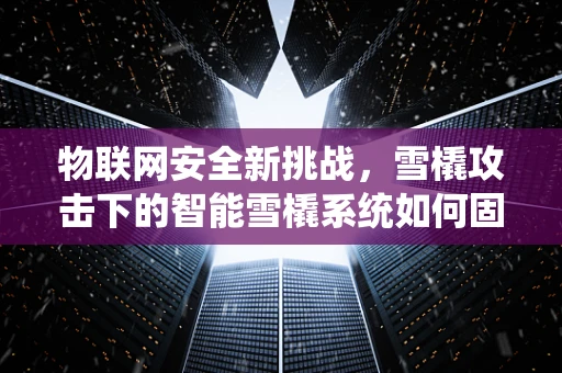 物联网安全新挑战，雪橇攻击下的智能雪橇系统如何固若金汤？