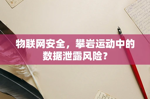 物联网安全，攀岩运动中的数据泄露风险？