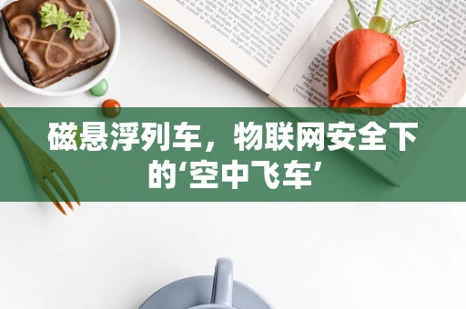 磁悬浮列车，物联网安全下的‘空中飞车’