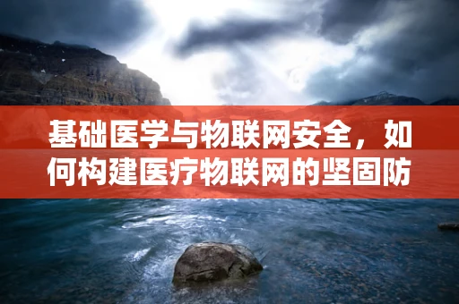 基础医学与物联网安全，如何构建医疗物联网的坚固防线？