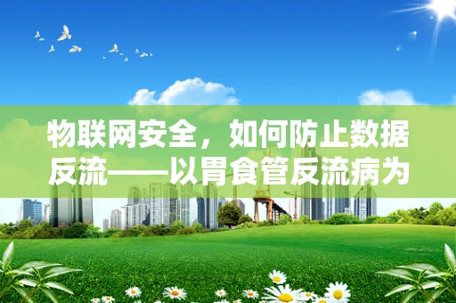 物联网安全，如何防止数据反流——以胃食管反流病为类比