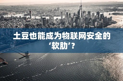 土豆也能成为物联网安全的‘软肋’？