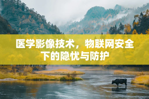 医学影像技术，物联网安全下的隐忧与防护