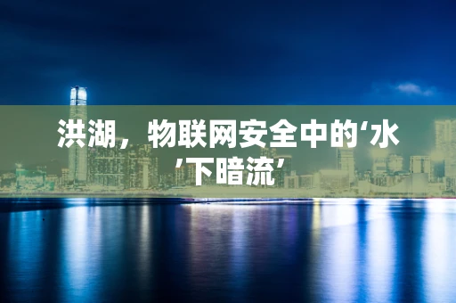 洪湖，物联网安全中的‘水’下暗流’