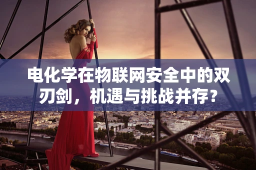 电化学在物联网安全中的双刃剑，机遇与挑战并存？