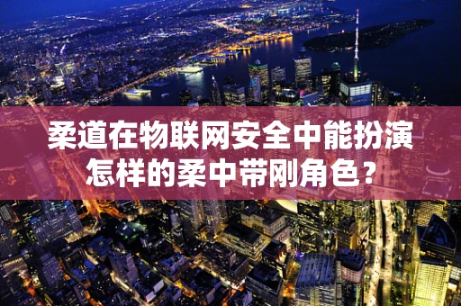 柔道在物联网安全中能扮演怎样的柔中带刚角色？