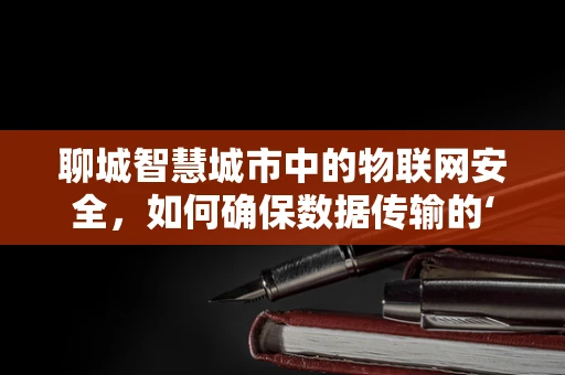 聊城智慧城市中的物联网安全，如何确保数据传输的‘零’风险？