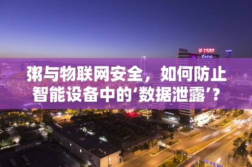 粥与物联网安全，如何防止智能设备中的‘数据泄露’？