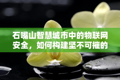 石嘴山智慧城市中的物联网安全，如何构建坚不可摧的防御网？