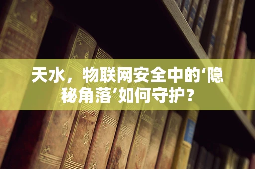 天水，物联网安全中的‘隐秘角落’如何守护？