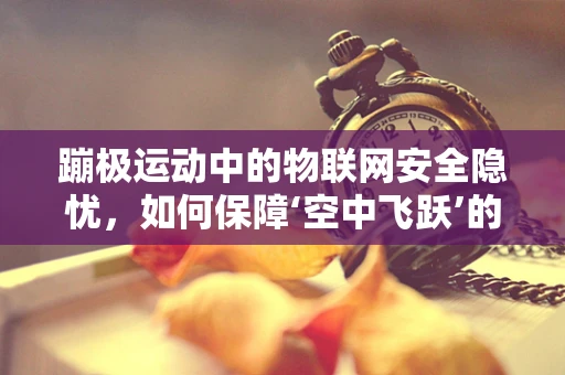 蹦极运动中的物联网安全隐忧，如何保障‘空中飞跃’的安心？