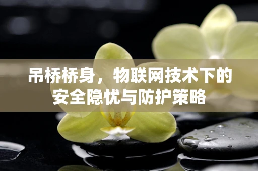 吊桥桥身，物联网技术下的安全隐忧与防护策略