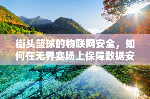 街头篮球的物联网安全，如何在无界赛场上保障数据安全？