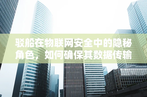驳船在物联网安全中的隐秘角色，如何确保其数据传输安全无虞？