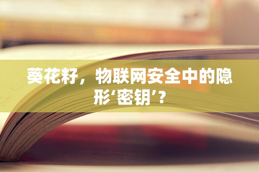 葵花籽，物联网安全中的隐形‘密钥’？