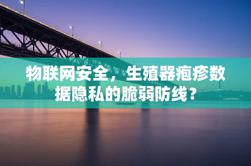 物联网安全，生殖器疱疹数据隐私的脆弱防线？