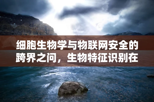 细胞生物学与物联网安全的跨界之问，生物特征识别在物联网安全中的应用挑战
