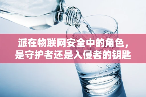 派在物联网安全中的角色，是守护者还是入侵者的钥匙？
