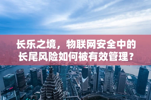 长乐之境，物联网安全中的长尾风险如何被有效管理？
