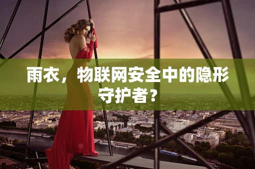 雨衣，物联网安全中的隐形守护者？