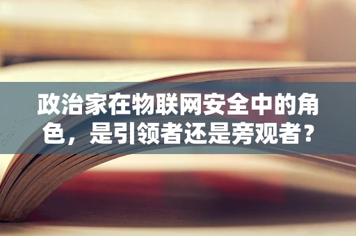 政治家在物联网安全中的角色，是引领者还是旁观者？