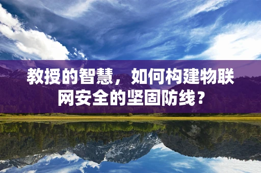 教授的智慧，如何构建物联网安全的坚固防线？