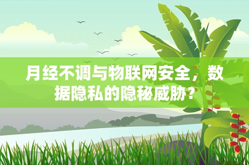 月经不调与物联网安全，数据隐私的隐秘威胁？