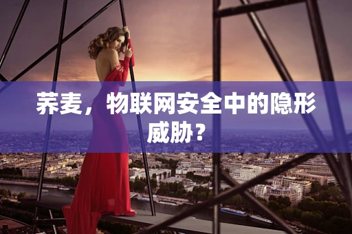 荞麦，物联网安全中的隐形威胁？