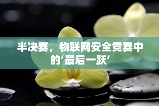 半决赛，物联网安全竞赛中的‘最后一跃’