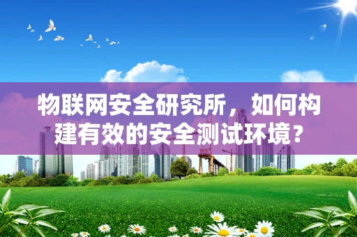 物联网安全研究所，如何构建有效的安全测试环境？