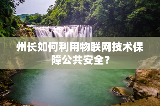 州长如何利用物联网技术保障公共安全？