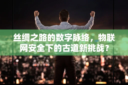 丝绸之路的数字脉络，物联网安全下的古道新挑战？