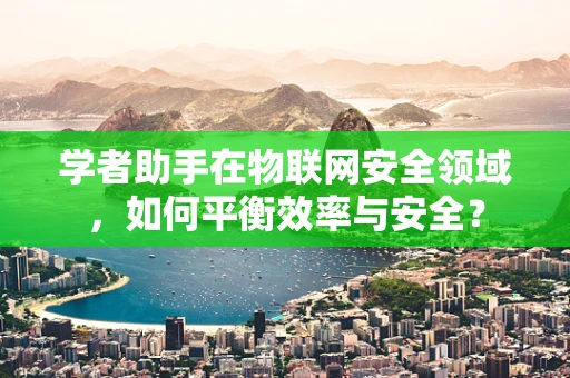 学者助手在物联网安全领域，如何平衡效率与安全？