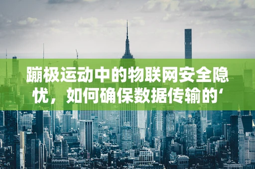 蹦极运动中的物联网安全隐忧，如何确保数据传输的‘空中’安全？