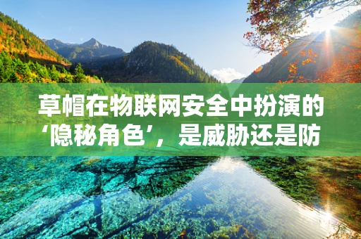 草帽在物联网安全中扮演的‘隐秘角色’，是威胁还是防护？
