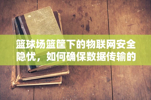 篮球场篮筐下的物联网安全隐忧，如何确保数据传输的私密与安全？