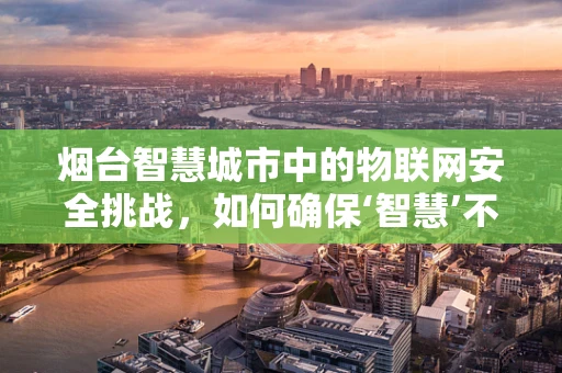 烟台智慧城市中的物联网安全挑战，如何确保‘智慧’不被‘窃取’？