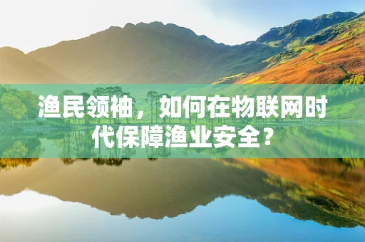 渔民领袖，如何在物联网时代保障渔业安全？