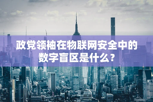 政党领袖在物联网安全中的数字盲区是什么？