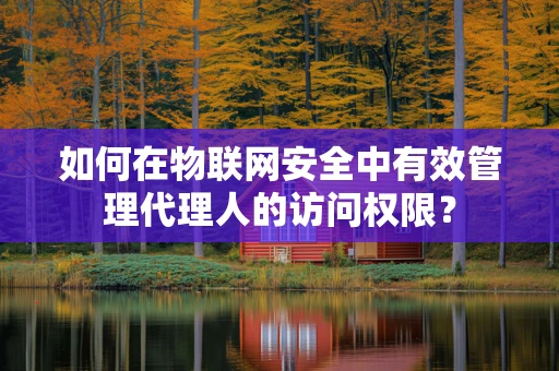 如何在物联网安全中有效管理代理人的访问权限？