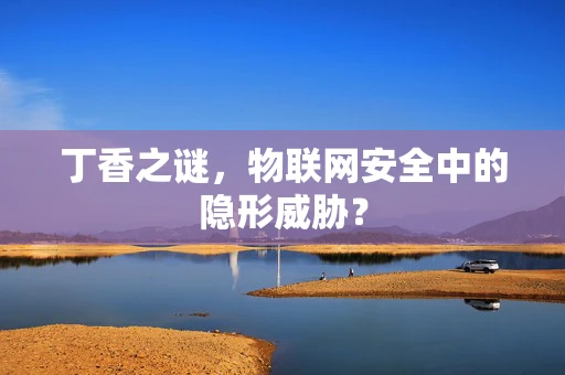丁香之谜，物联网安全中的隐形威胁？