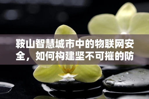 鞍山智慧城市中的物联网安全，如何构建坚不可摧的防御网？