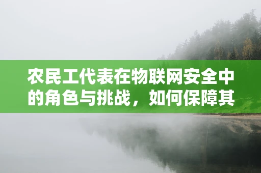 农民工代表在物联网安全中的角色与挑战，如何保障其数字身份安全？