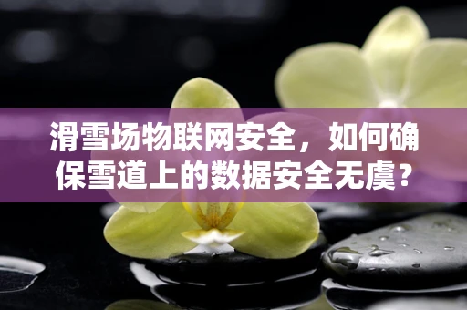 滑雪场物联网安全，如何确保雪道上的数据安全无虞？