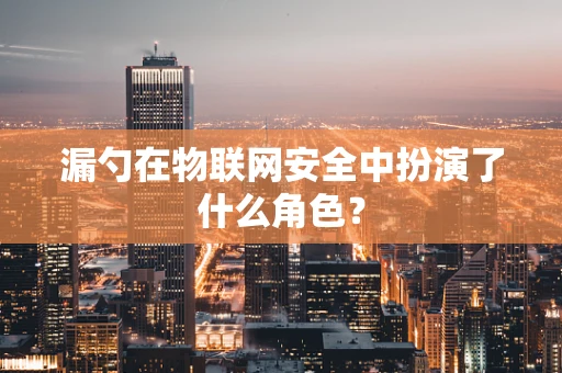 漏勺在物联网安全中扮演了什么角色？