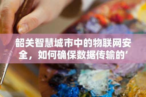 韶关智慧城市中的物联网安全，如何确保数据传输的‘零风险’？