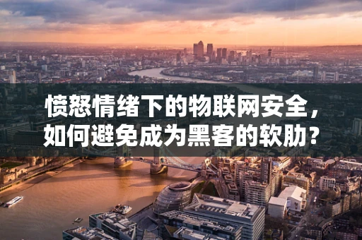 愤怒情绪下的物联网安全，如何避免成为黑客的软肋？