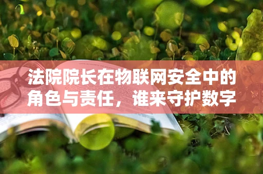 法院院长在物联网安全中的角色与责任，谁来守护数字法庭的‘门锁’？