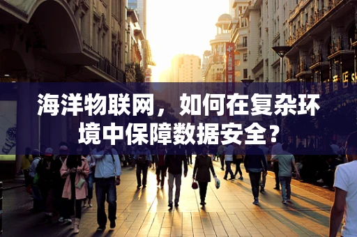 海洋物联网，如何在复杂环境中保障数据安全？